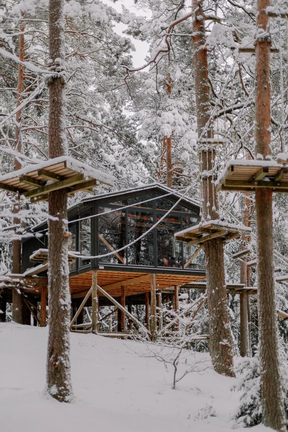 BookNoFees Imagem de exemplo: cabana com janelas numa casa na árvore, numa floresta coberta de neve