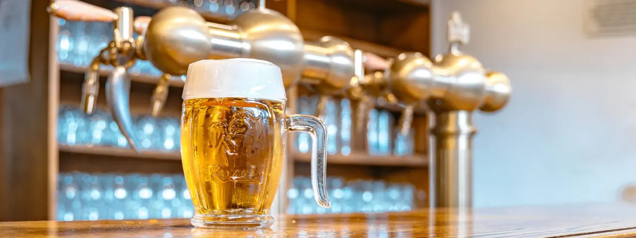 BookNoFees: Restaurante – Kozel u Bohemky – Prague – O Kozel na Bohemka, fotografia 1