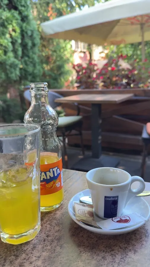 BookNoFees: Café – Forest Caffe – Belgrade – Forest Caffe, fotografia 3