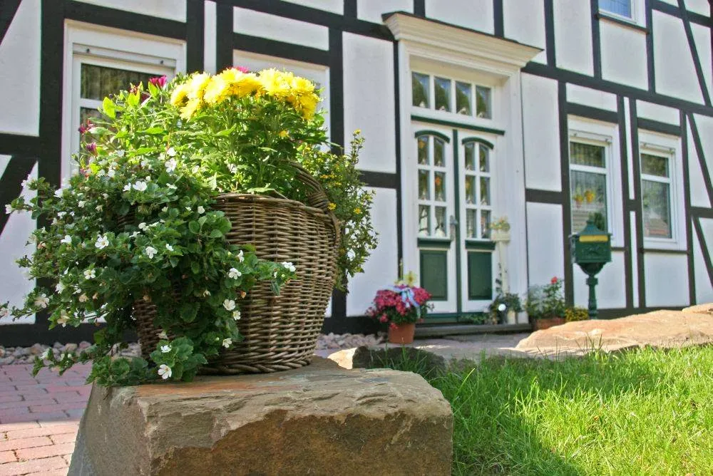 BookNoFees: Restaurante – Baumhoff Jürgen Café Pension – Olpe – Baumhoff Jürgen Café e Pensão, fotografia 1