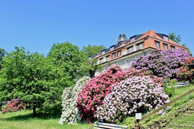 BookNoFees: Apartamento de férias «Natureza e Arte», Dresden, Suíça da Saxónia – Dresden