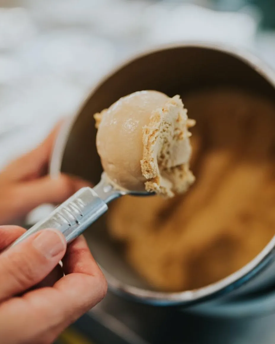 BookNoFees: Gelado – Artisani – Lisbon – Artesão, fotografia 1