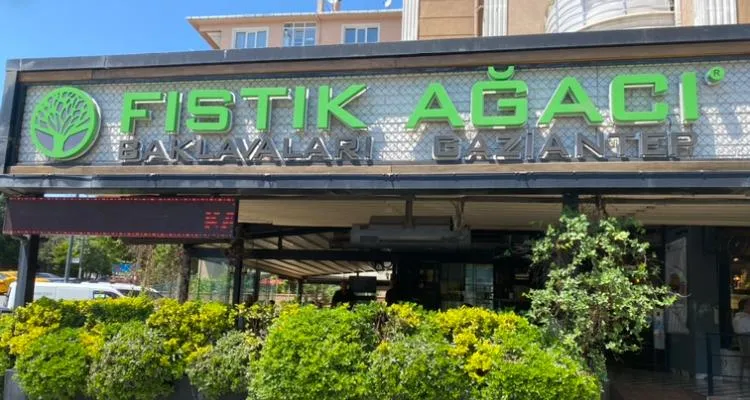 BookNoFees: Café – Fıstık Ağacı – Istanbul – Árvore de pistácio, fotografia 1