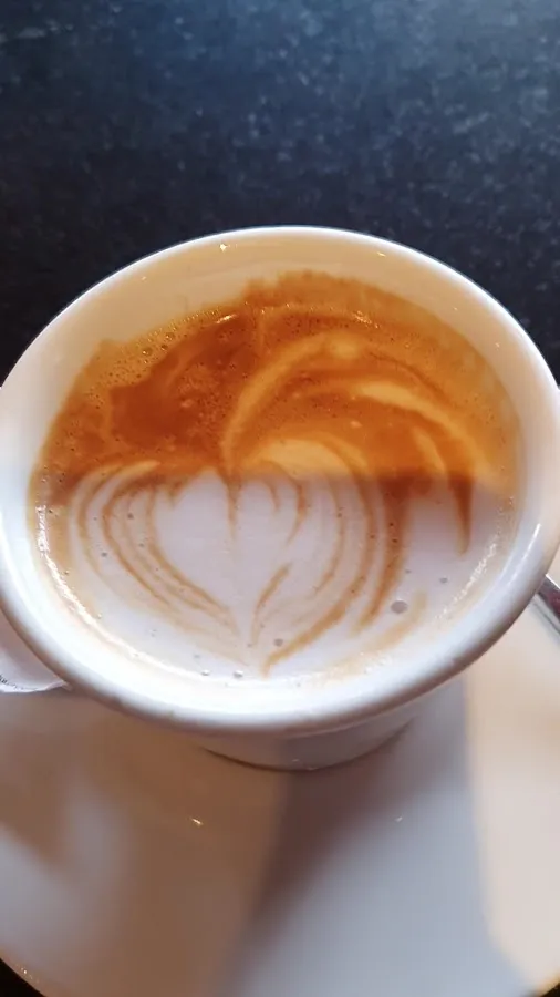 BookNoFees: Café – Bumerang – Zagreb – Bumerangue, fotografia 3
