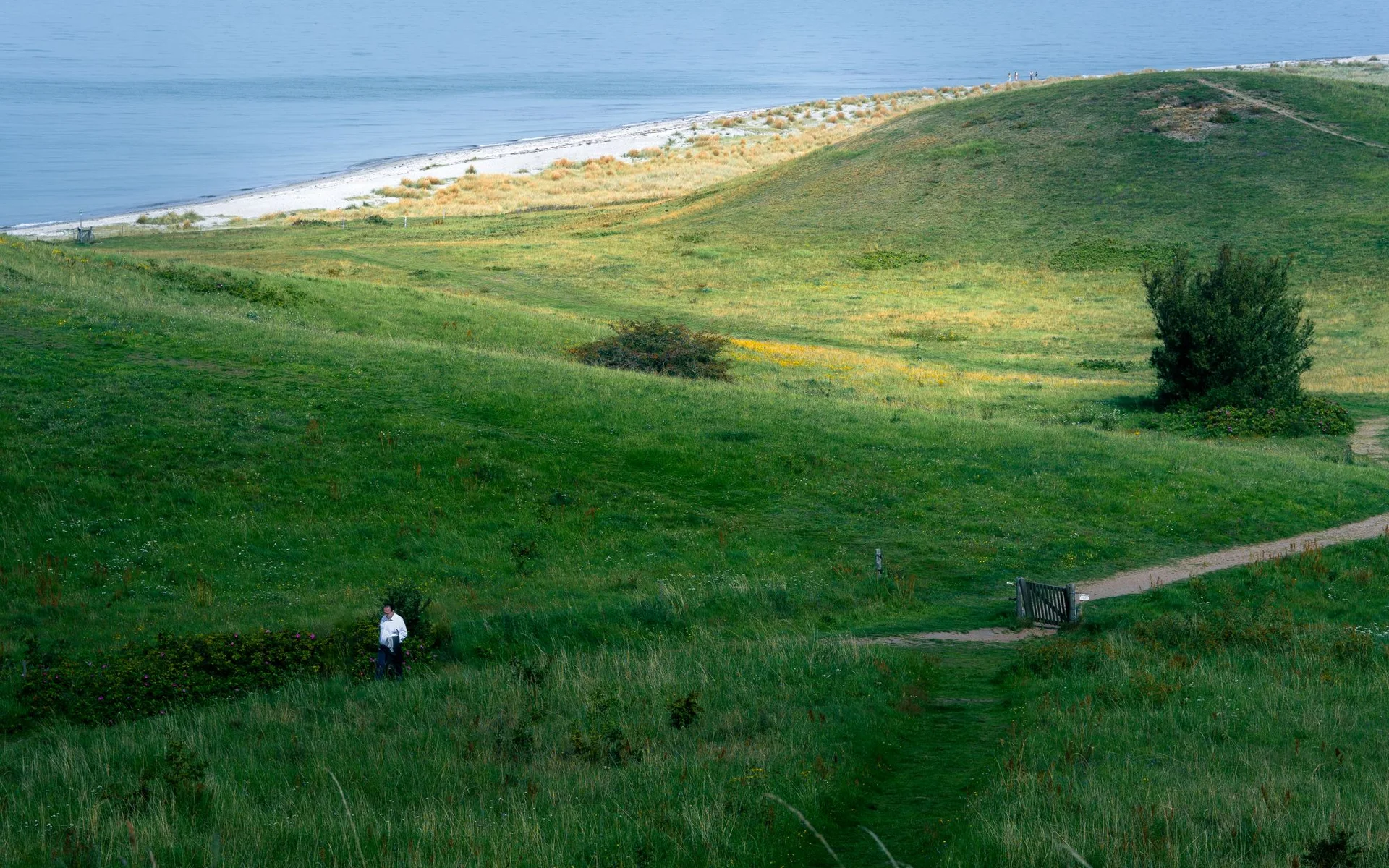 Colinas verdes e costa na ilha dinamarquesa de Samsø