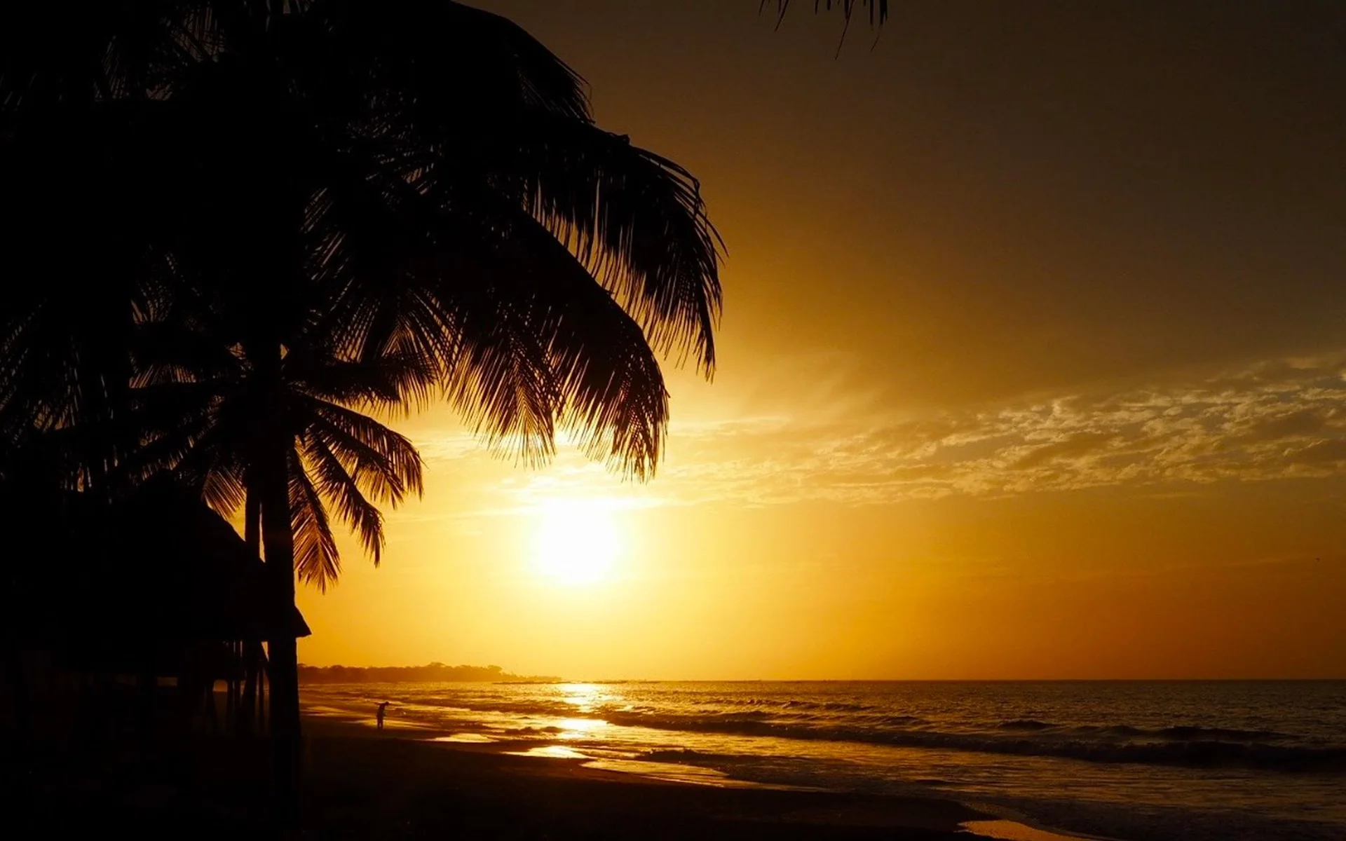 Palmeiras na praia da Gâmbia ao pôr-do-sol